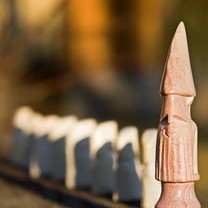 巴以冲突升级，加沙地带的悲剧与国际社会的反思