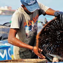 罗永浩炮轰西贝预制菜，一场关于餐饮品质的舆论风暴