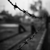 于朦胧坠亡谣言背后，网络谣言的危害与法律责任