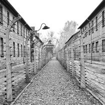 联合国的判决，以色列种族灭绝罪的认定与国际社会的反响