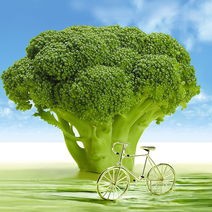 人民日报聚焦预制菜，便捷与健康的平衡艺术