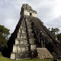 河南贾湖遗址8000年古木棺，揭开史前文明的神秘面纱