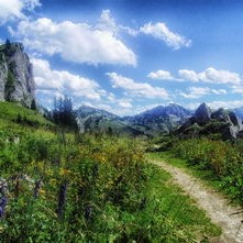 休闲农庄：轻松打造盈利乡村体验，解决城市人逃离自然的渴望