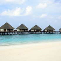 广东奇闻，男子崖下洞居5年，镇政府如何回应？