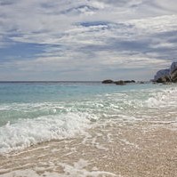 意大利游泳名将的陨落，从泳池到警局的不归路