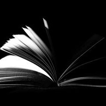 北京面临美国白蛾幼虫高峰期，广东自媒体达人解析应对策略