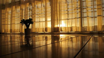 揭秘高铁不开窗的舒适秘诀,科技与设计的完美结合 揭秘高铁不开窗的舒适秘诀,科技与设计的完美结合