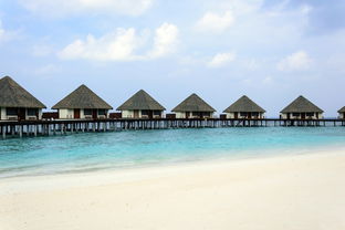 广东奇闻，男子崖下洞居5年，镇政府如何回应？