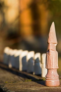 巴以冲突升级，加沙地带的悲剧与国际社会的反思